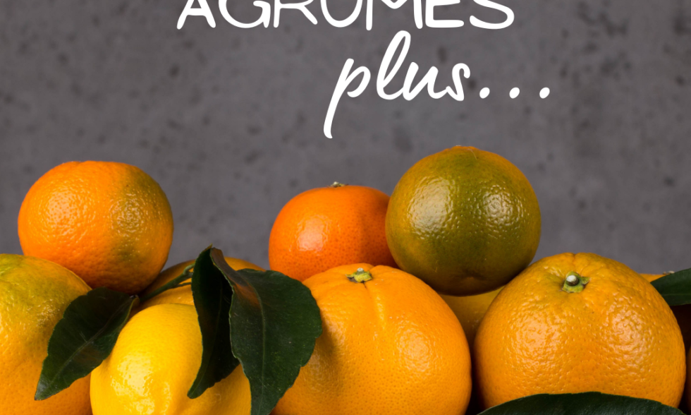 Campagne Agrumes Plus – FMLC 2020 Campagne Agrumes Plus – FMLC 2020