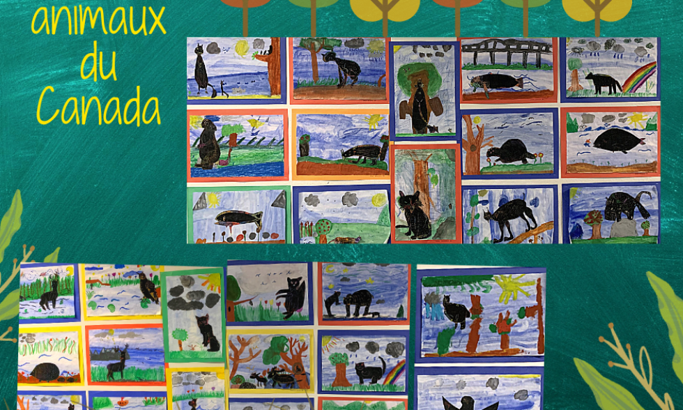Animaux du Canada – élèves de 3e année Animaux du Canada – élèves de 3e année
