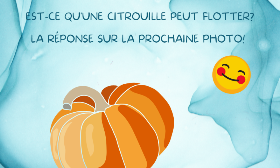 Est-ce qu’une citrouille peut flotter? Est-ce qu’une citrouille peut flotter?
